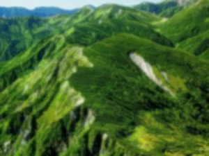 dji kamera sensörü bulanık çeken drone görüntüsü